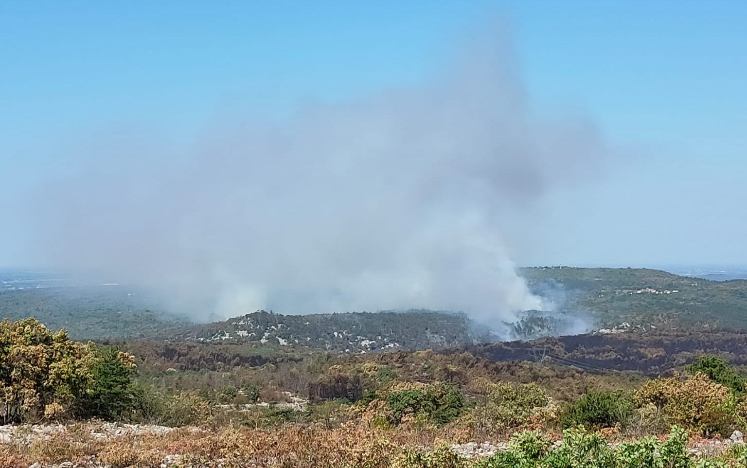 Immagine per Le fiamme minacciano le case di San Michele, barriera contro il fuoco